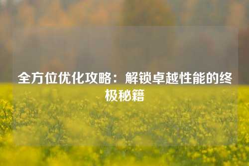 全方位优化攻略：解锁卓越性能的终极秘籍