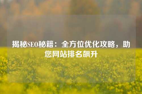 揭秘SEO秘籍：全方位优化攻略，助您网站排名飙升